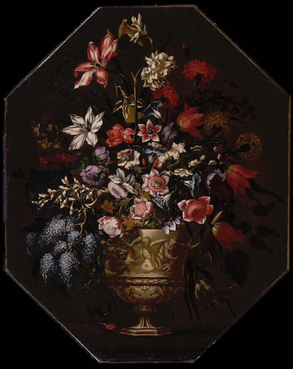 StillLife ca166590