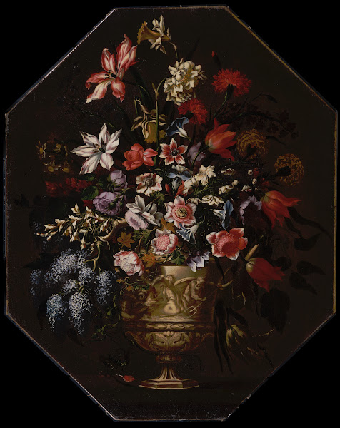 StillLife ca166590