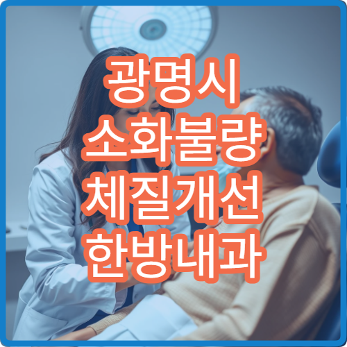 광명시 소화불량 체질개선 한방내과 침 한약 장부기능 회복 치료