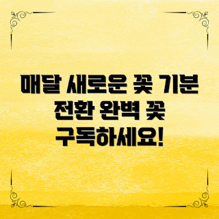 꽃구독박스, 꽃 취미 초보, 맞춤형 꽃 서비스, 매달 꽃 선물, 감성 디자인 꽃
