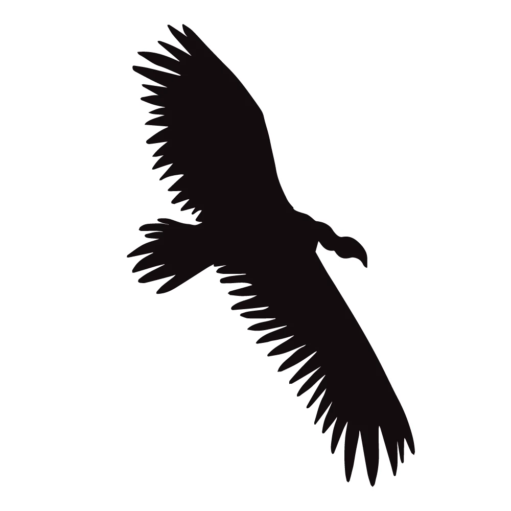 Black silhouette of a large African vulture soaring with its wings spread wide, viewed from an angle above.