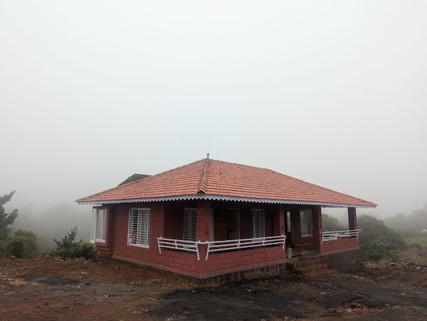 image_1xp5-liy.jpg