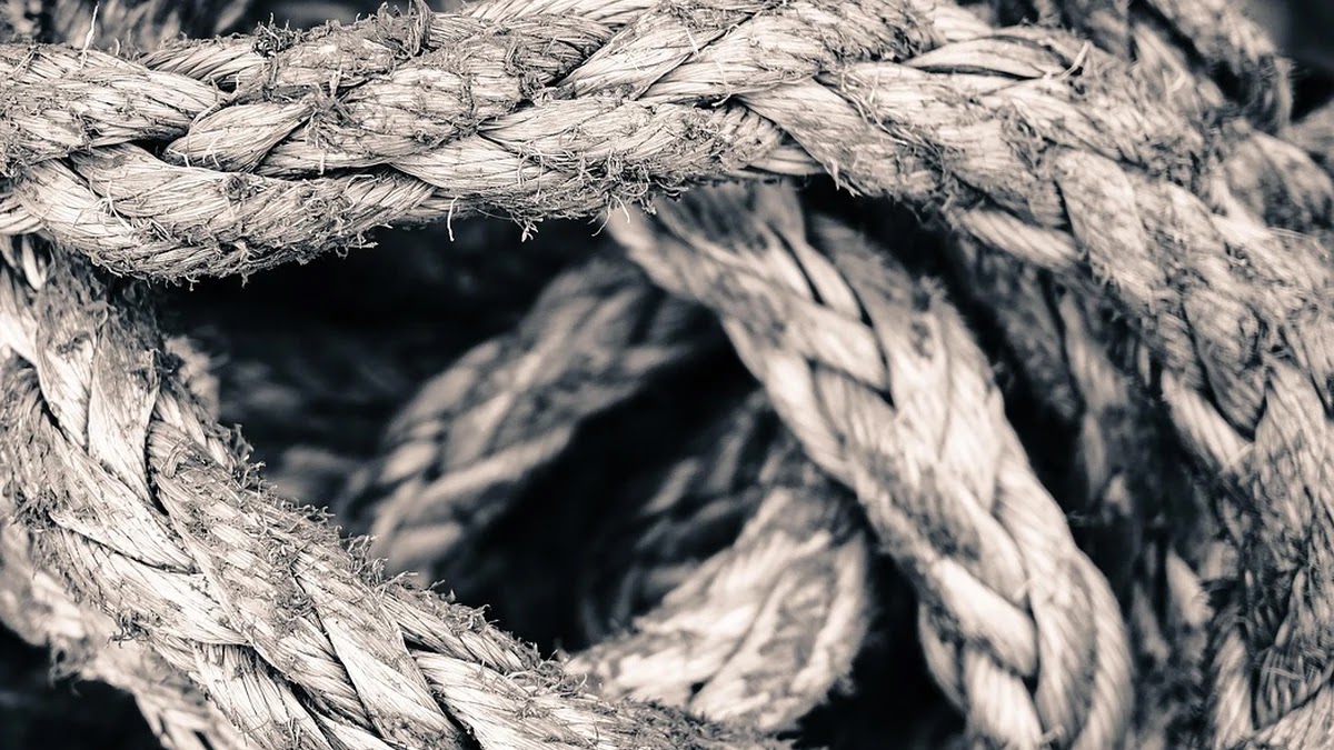 INFP 성격 장단점과 대인관계에서의 심리적 특징 이해