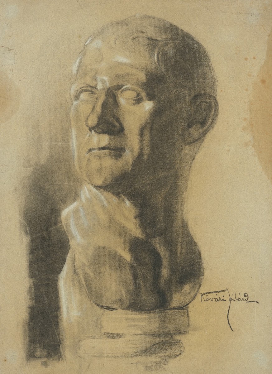 Hlava muža 19021906