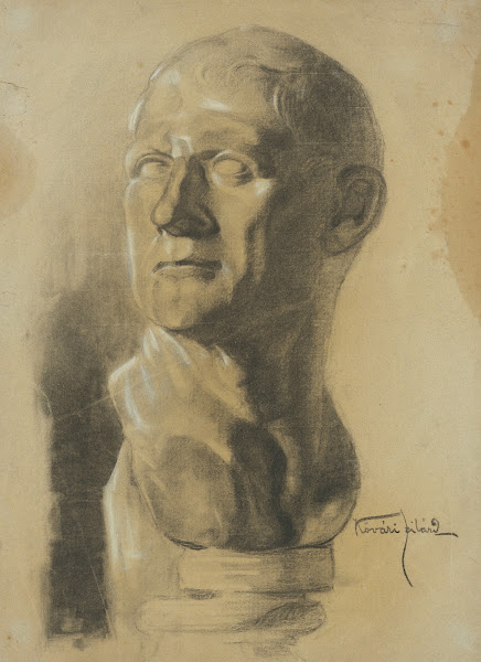 Hlava muža 19021906