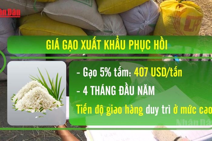 [Video] Giá gạo xuất khẩu phục hồi, rau quả hướng tới mục tiêu 10 tỷ USD - Báo Nhân Dân