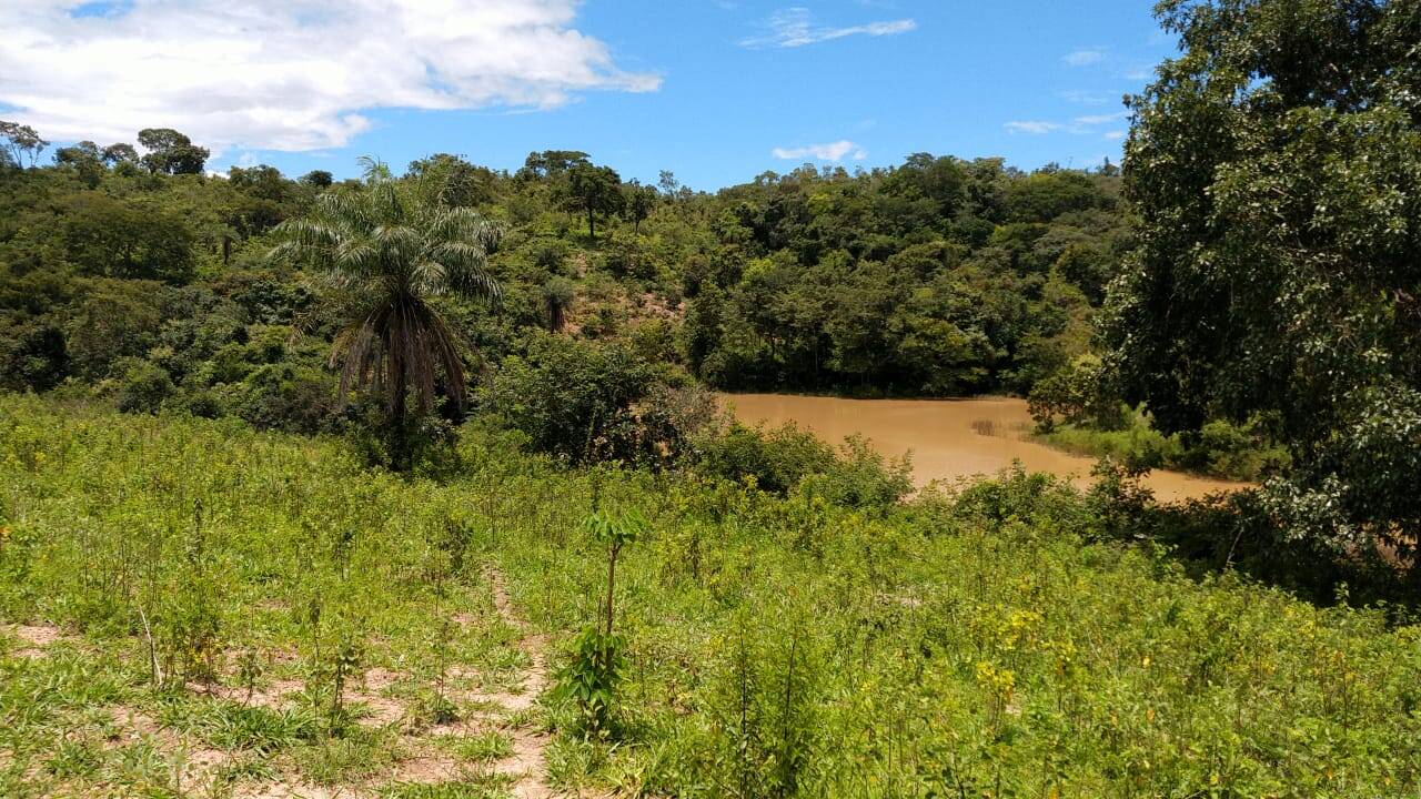 Fazenda em Padre Bernardo - GO 2