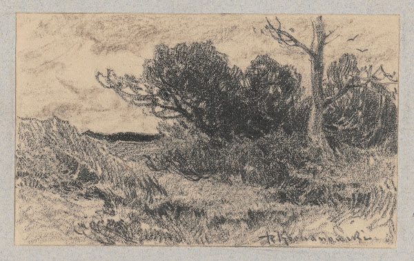 Study of a landscape 1875   1935