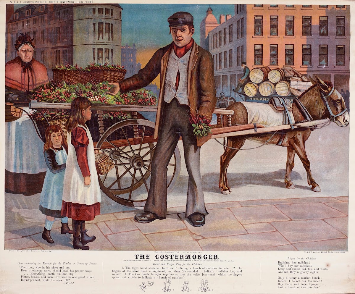 The Costermonger 1905