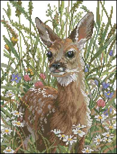 CMP 400638 Spring Fawn