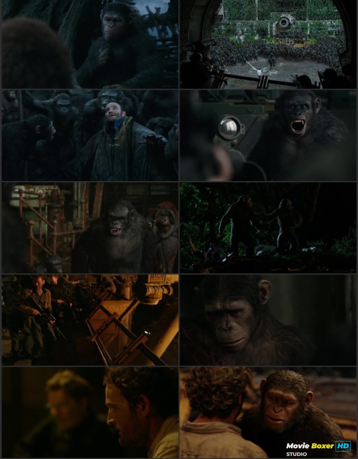 Screenshots Grid