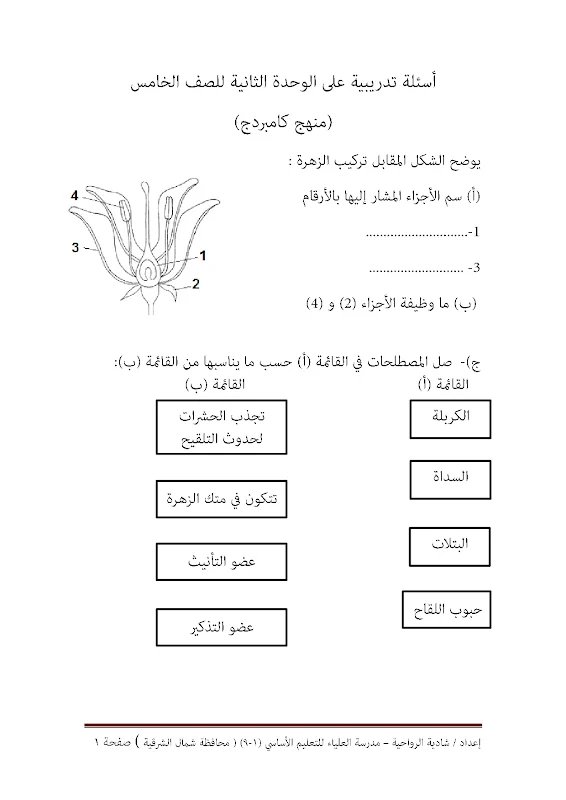 صورة الغلاف