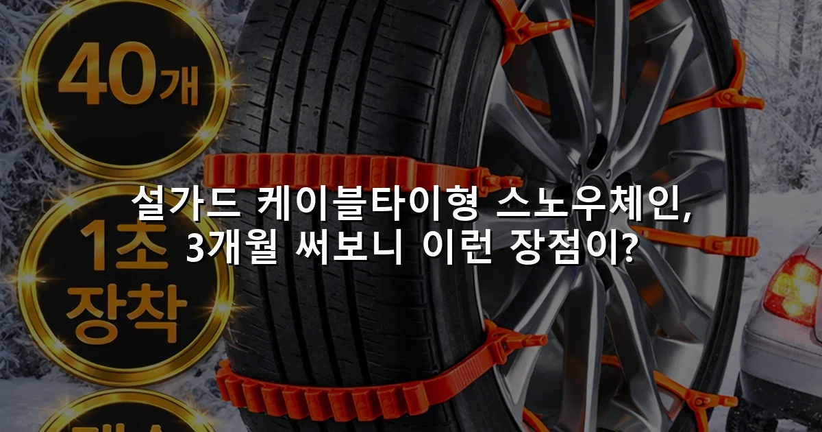 설가드 케이블타이형 스노우체인, 3개월 써보니 이런 장점이?