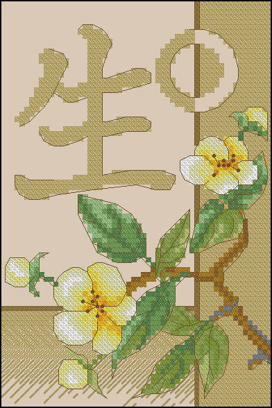 CMP I0567 Pattern