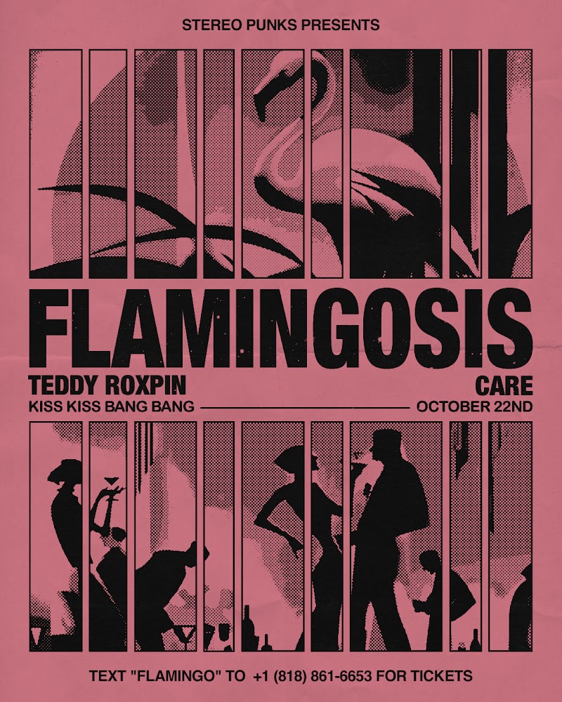 Flamingosis flyer