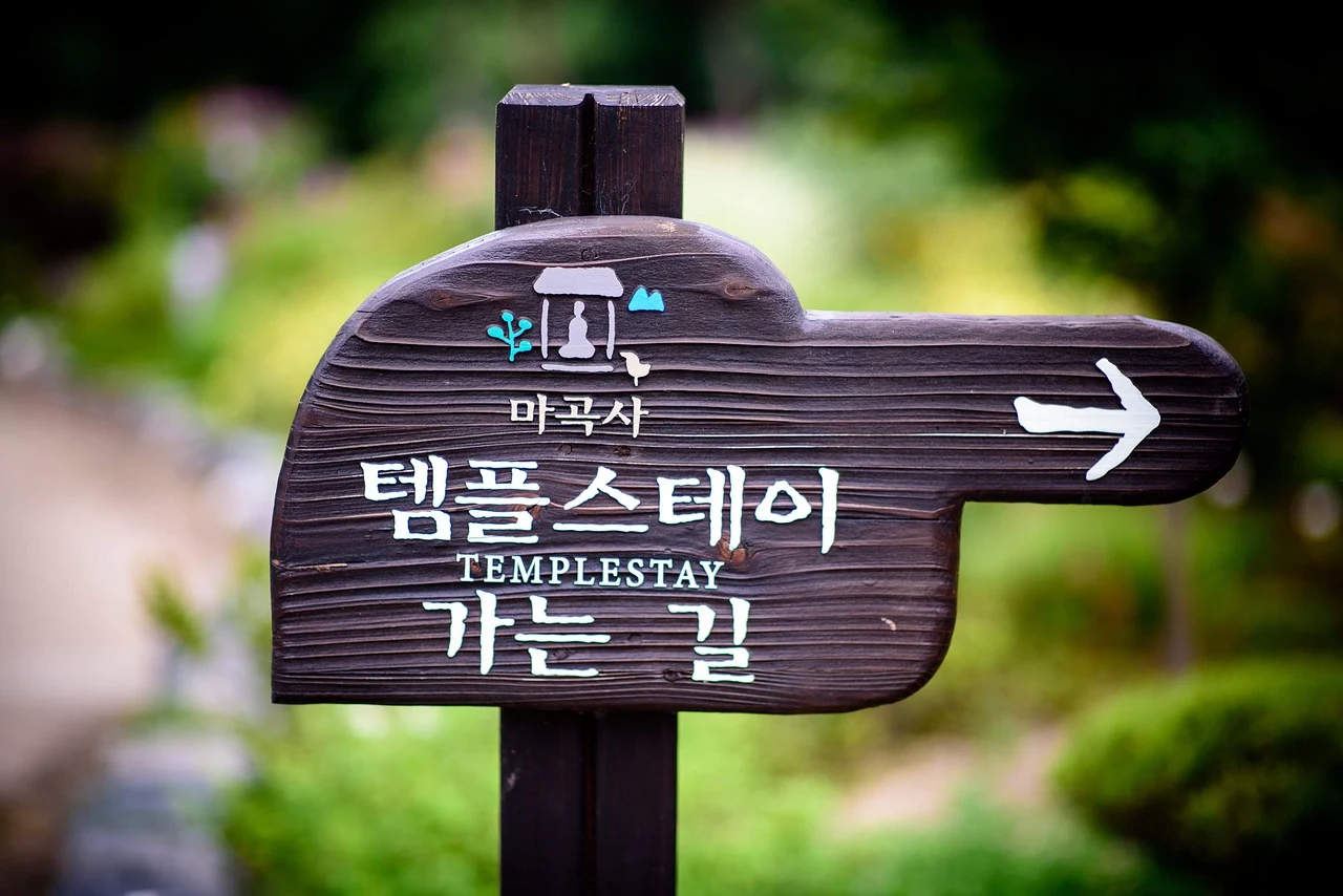 섹션 2 이미지