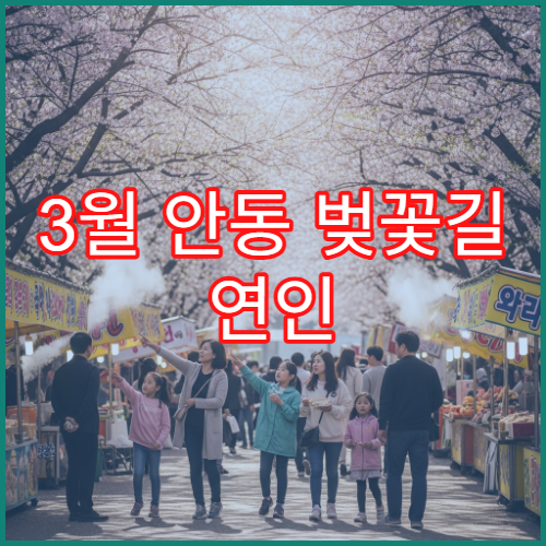 3월 안동 벚꽃길 연인 손잡고 걷기 좋은 평지 구간