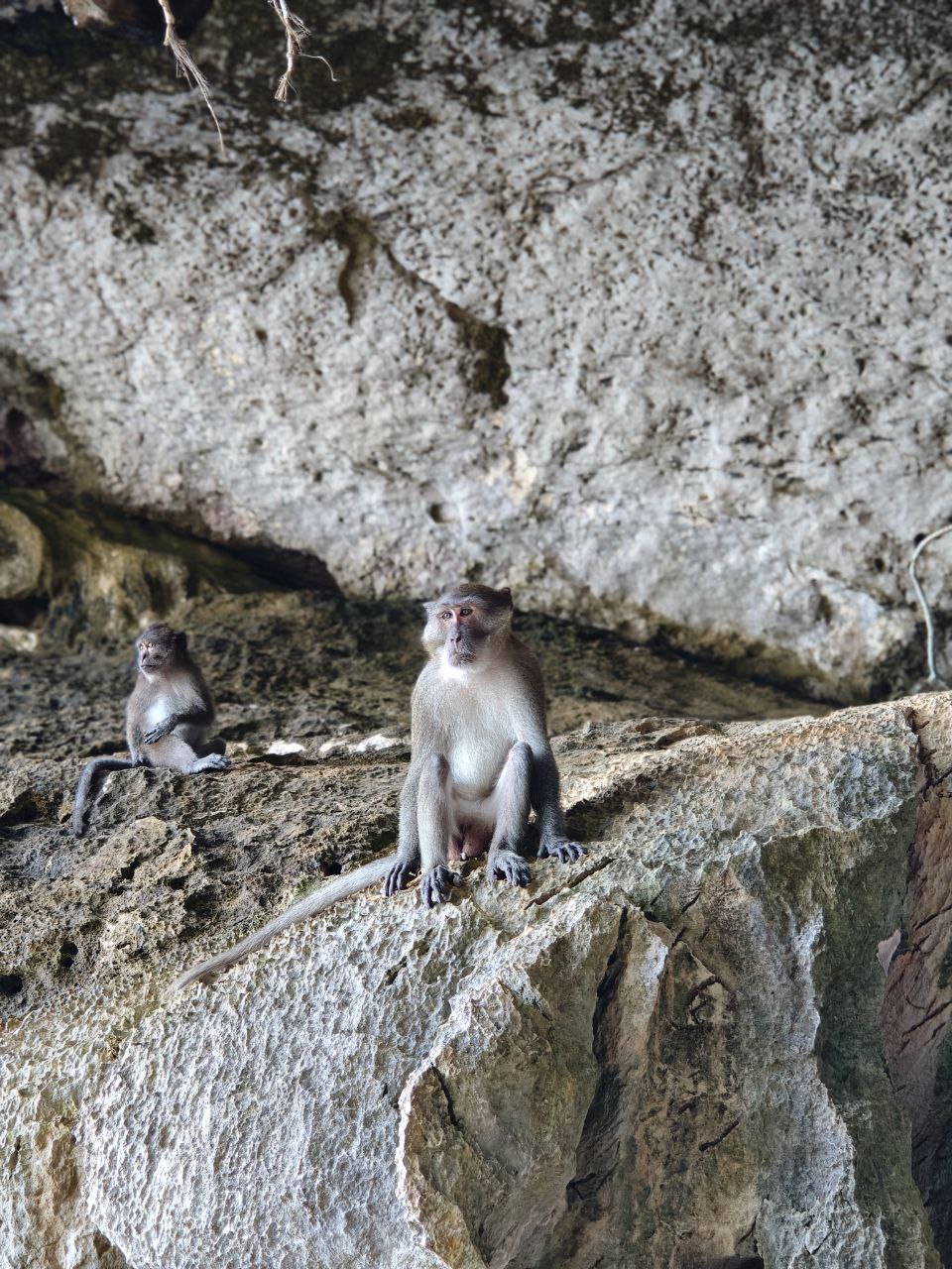 11 ISLANDS_ JAMES BOND - HONG - KRABI - PHI PHI (1-DAY TRIP) 8