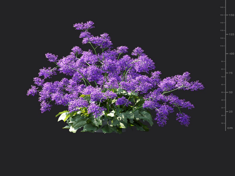Maxtree - Plant Models Vol.115