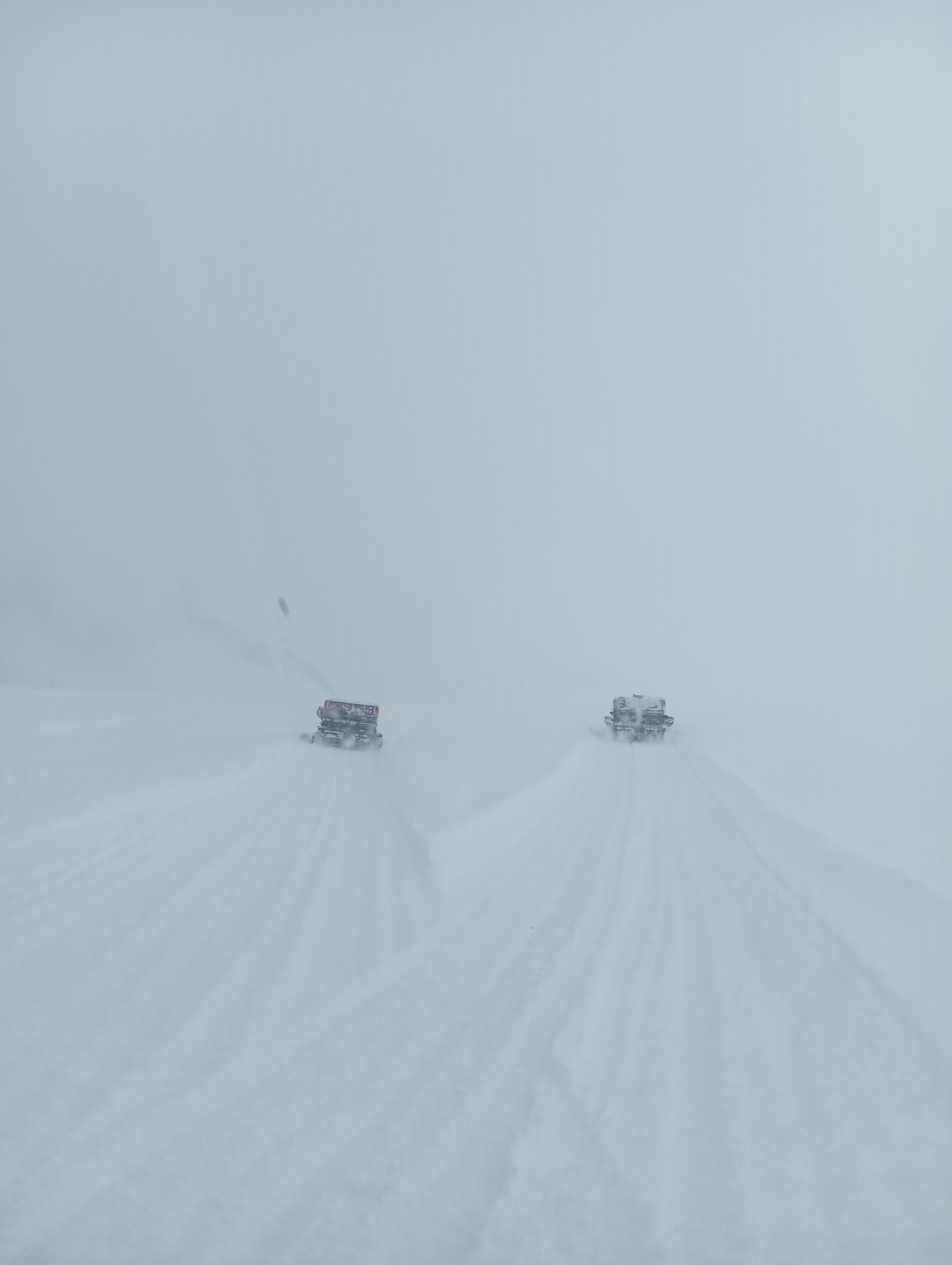Freeride forest