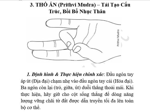 Thổ Ấn (Prithvi Mudra)