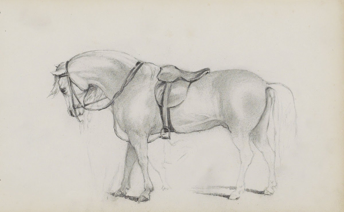 Gezadeld paard 1880