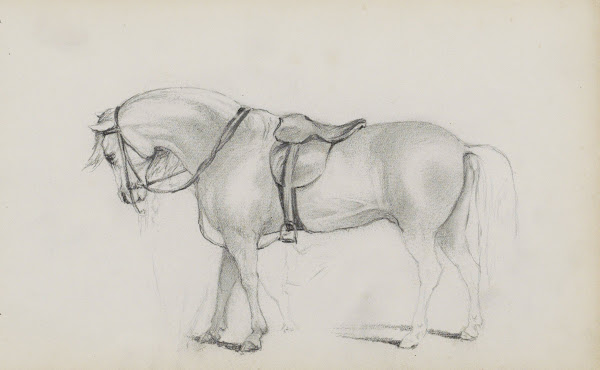 Gezadeld paard 1880