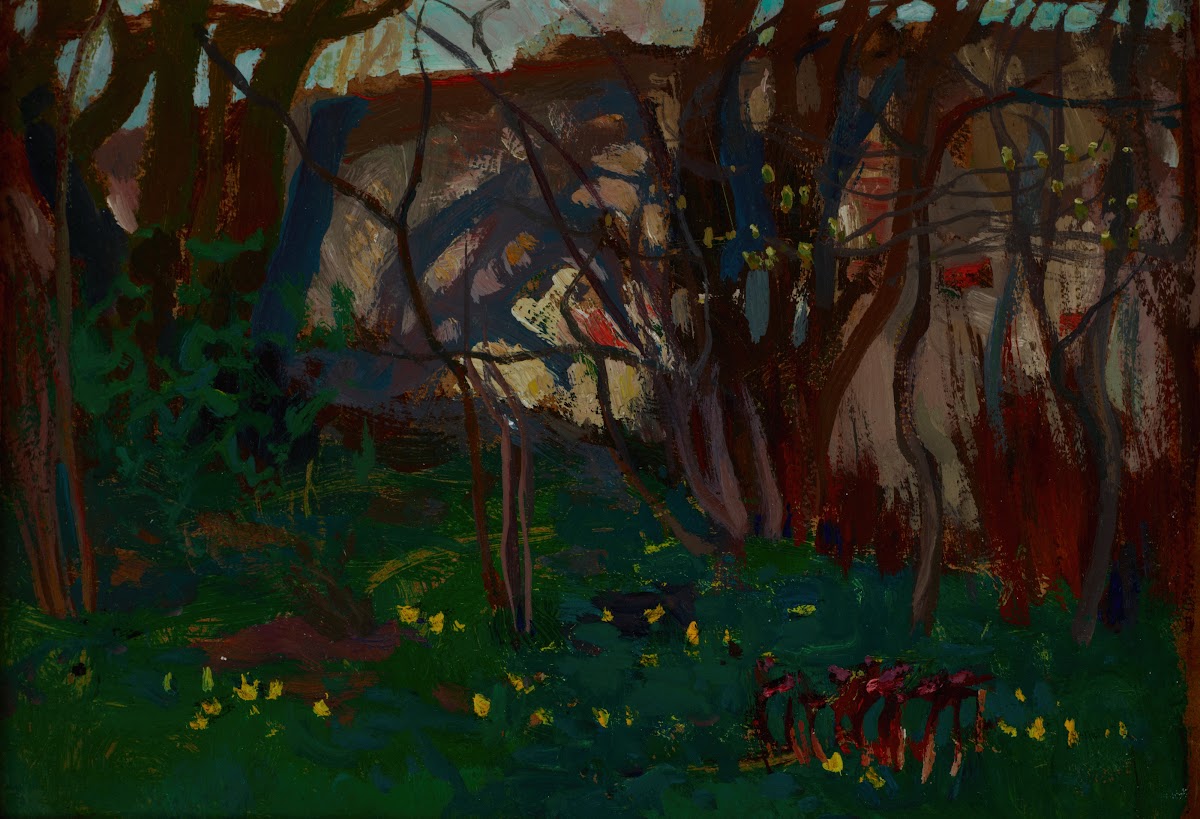Botanical Garden 1905