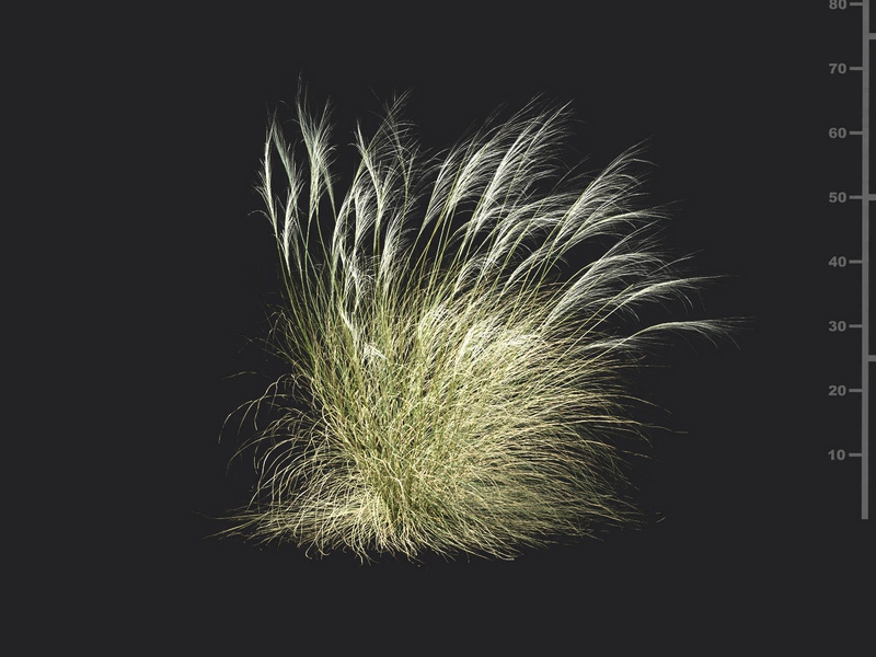 Maxtree - Plant Models Vol.115