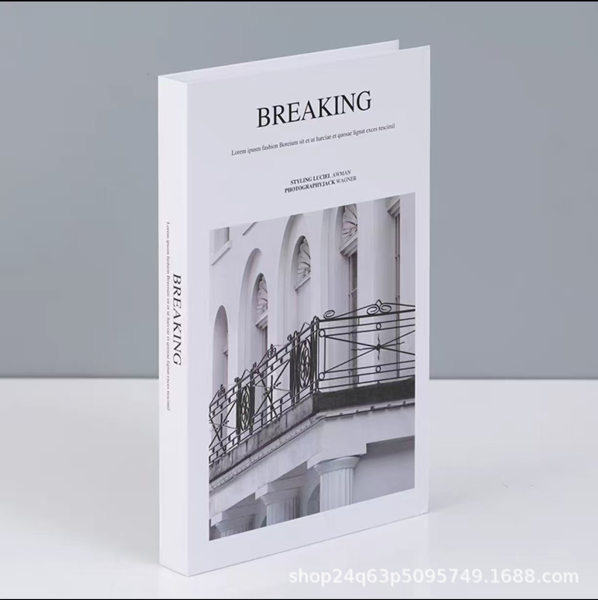 Dekoratives Kunstbuch, nordisch-minimalistisch