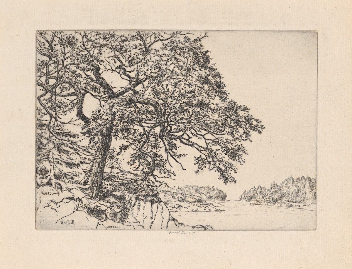 Marins Oak 1923