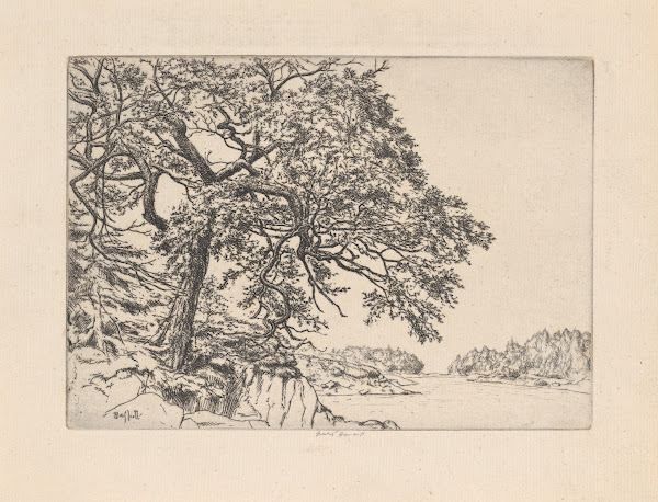 Marins Oak 1923