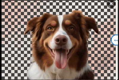 Demo of background removal process