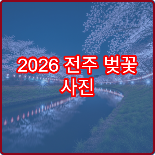 2026 전주 벚꽃 사진 인생샷 황금 시간대와 포토존