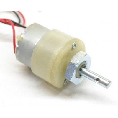 JOHNSON GEAR MOTOR (12 V 300 RPM)