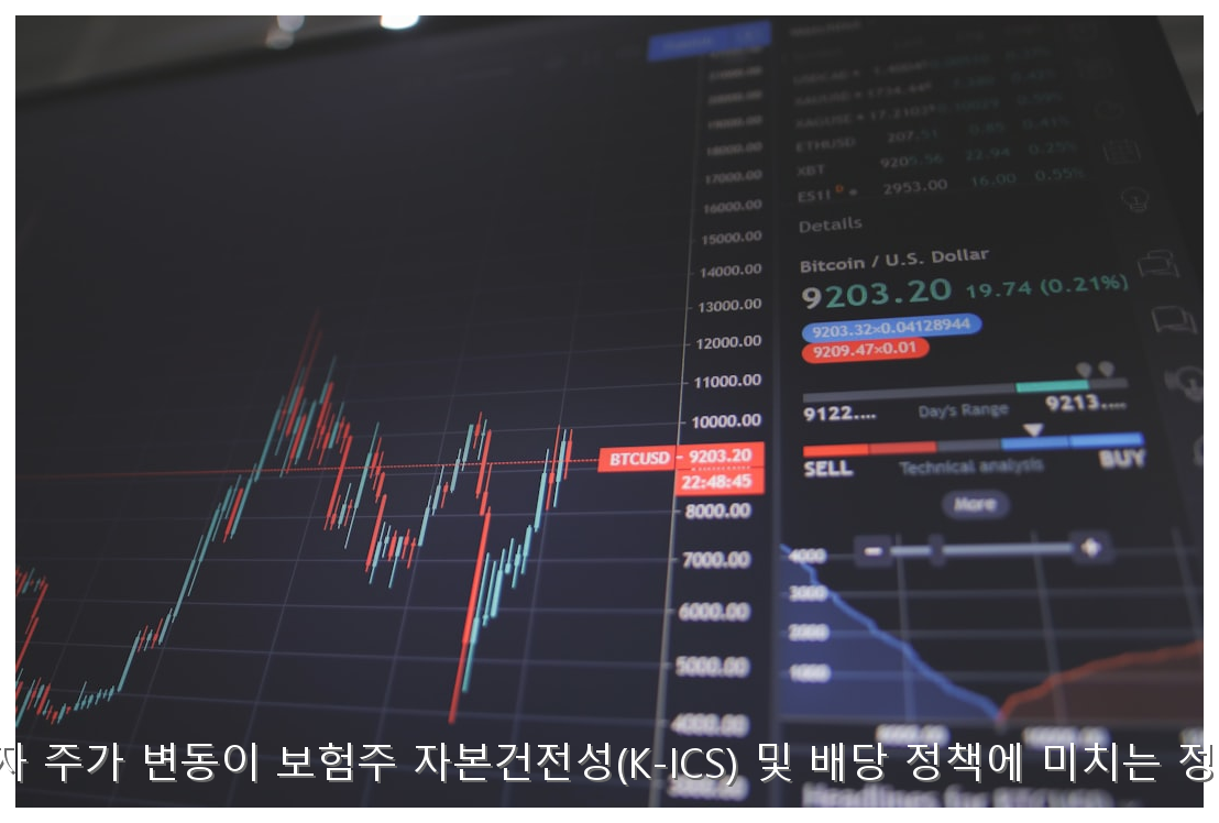 삼성전자 주가 변동이 보험주 자본건전성(K-ICS) 및 배당 정책에 미치는 정밀 분석 핵심 안내 및 분석 인포그래픽 (4)