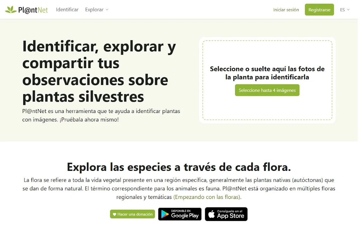 Captura de Pl@ntNet