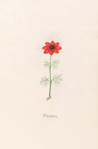 Jeune fille 1912