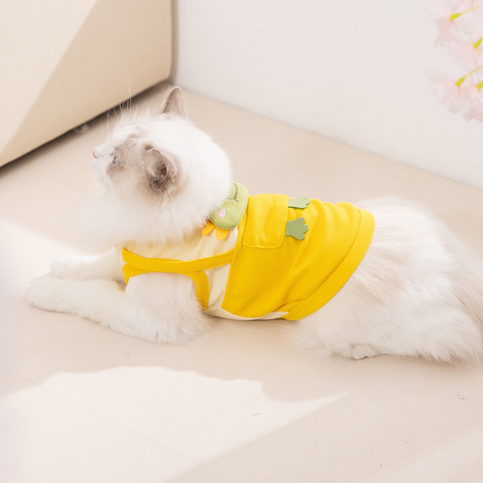 Sleeveless vest for cats and dogs, spring/summer