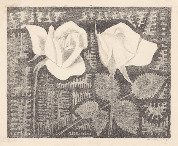 Twee rozen