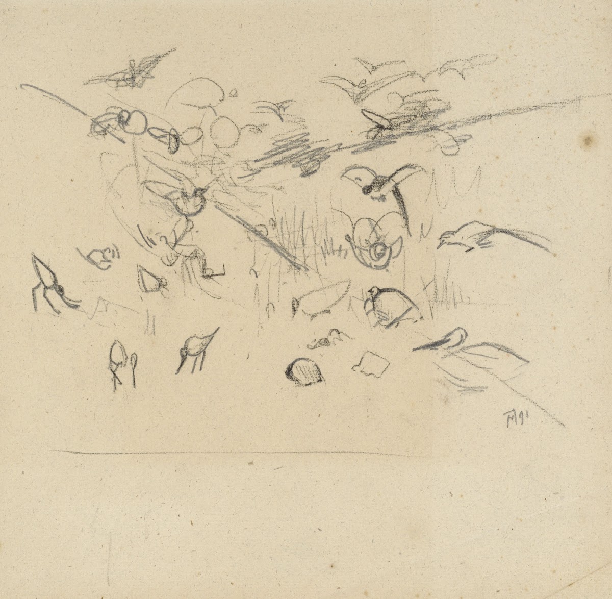 Schets voor illustratie in Hoe de vogels aan een koning kwamen 1891
