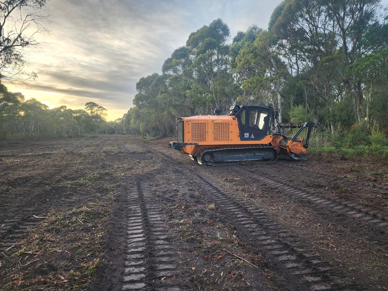 Bushfire Mitigation
