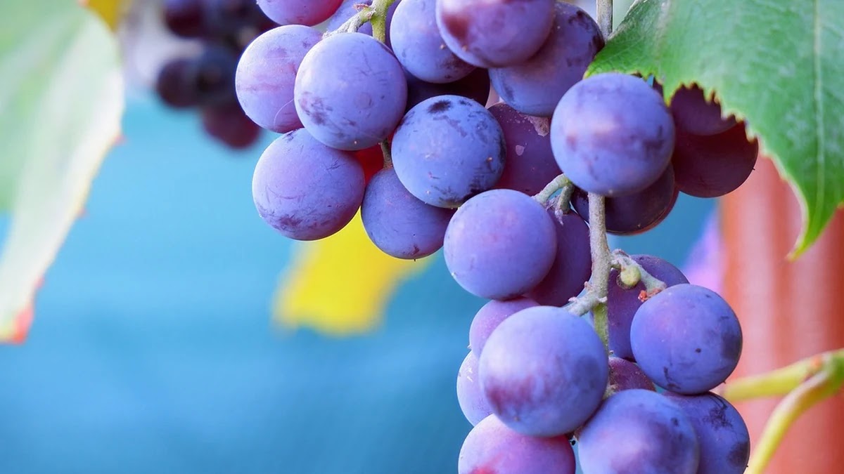 신용대출 금리 산정 기준과 대출 한도 올리는 방법