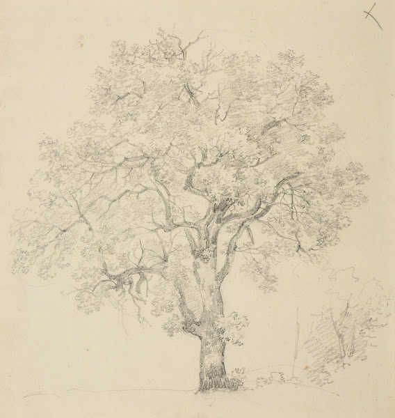 Étude darbre