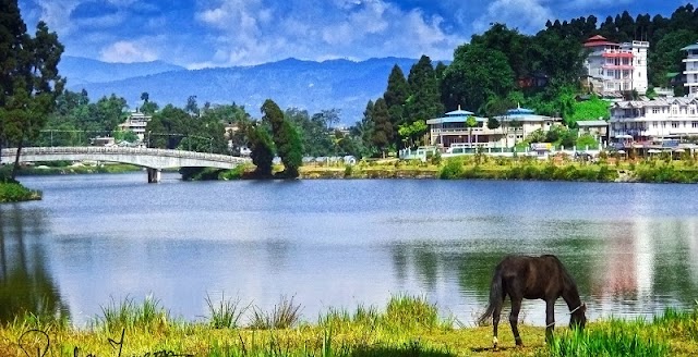 351|MIRIK - DARJEELING TOUR PACKAGE