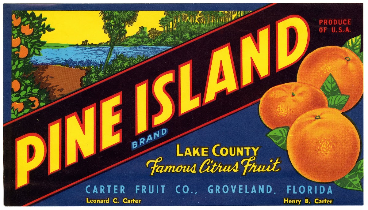 Pine Island Brand Citrus Label 1930 1950