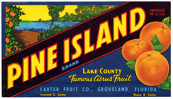 Pine Island Brand Citrus Label 1930 1950