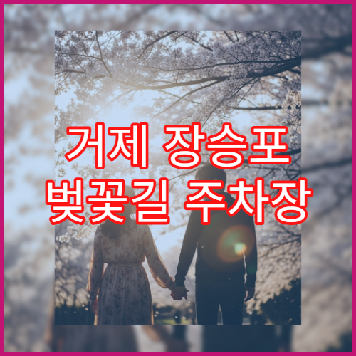 거제 장승포 벚꽃길 주차장 숨은 위치 학동항 무료 셔틀버스 시간