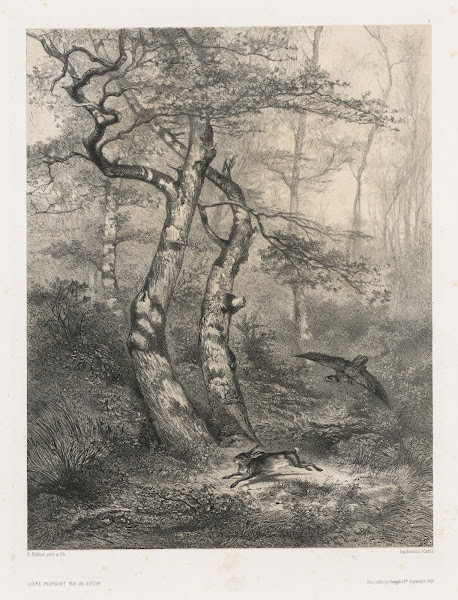 Hare Pursued by a Goshawk 1858