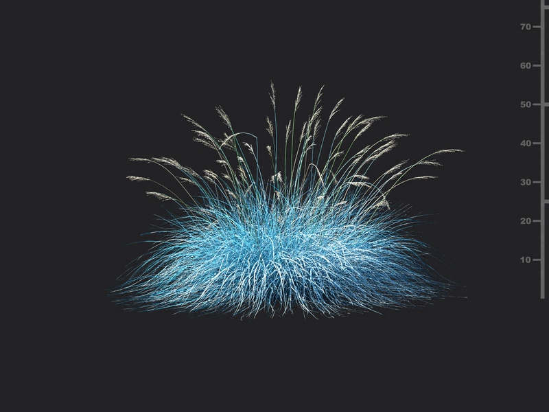 Maxtree - Plant Models Vol.115